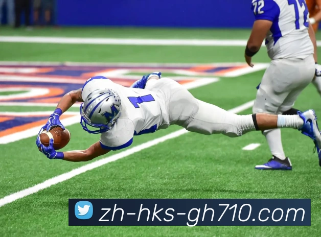 公海710官网发展历程